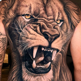 Löwe über den gesamten Rücken – Tattoo aus Köln