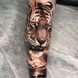 Tiger am Unterschenkel – Tattoo aus Köln