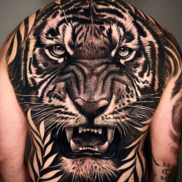 Tiger über den gesamten Rücken – Tattoo aus Köln